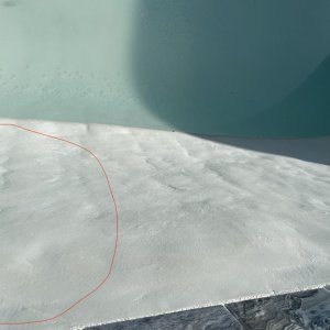 1-plaster-with-trowel-marks-circled-in-red.jpg