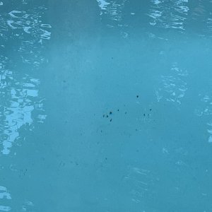 IMG_3774.jpeg