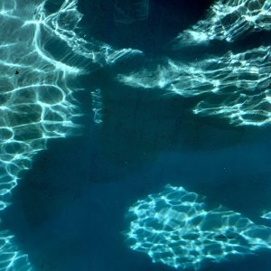 IMG_8030.jpeg
