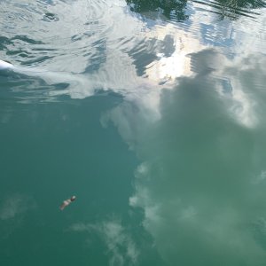 IMG_3804.jpeg