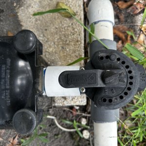 IMG_1973.jpeg