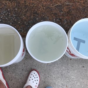 bucket_filter.jpg