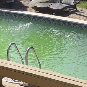 IMG_1725.jpeg