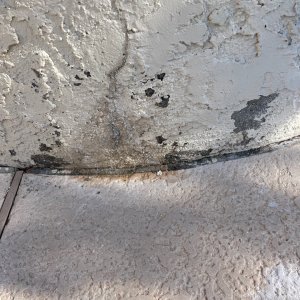 IMG_3627.jpeg