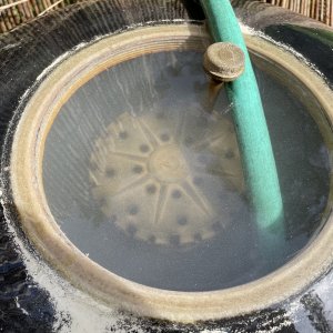 IMG_1210.jpeg