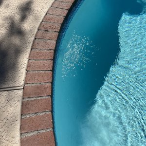IMG_3737.jpeg