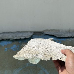 IMG_4081.jpeg