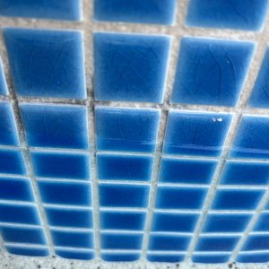 IMG_1145.jpeg