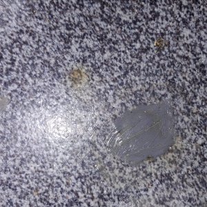 20230927_182616.jpg