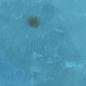IMG_7357.jpeg