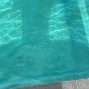 IMG_0799.jpeg