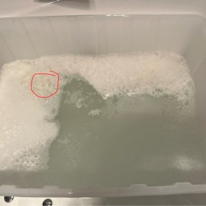 IMG_0256.jpeg