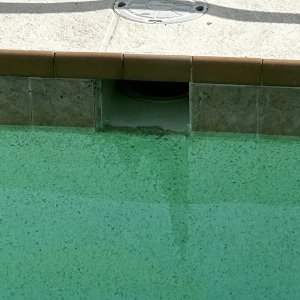 IMG_3465.jpeg