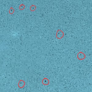 IMG_6054.jpeg
