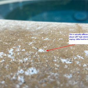 Coping Efflorescence Photo with notes.png