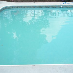 Day2-315a.jpg