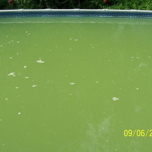 Picture (Pool) 075.jpg