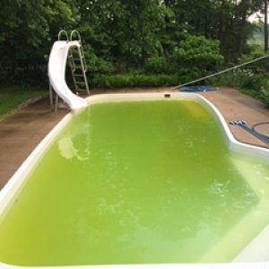 060917 PM after first 2 gal chlorine added.JPG