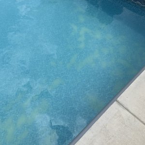 IMG_0584.JPG