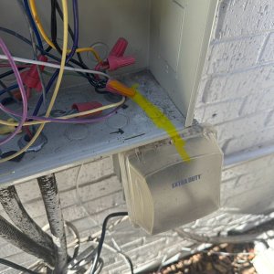 IMG_3593.jpeg