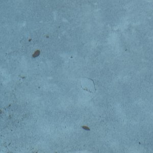 IMG_1503.jpeg