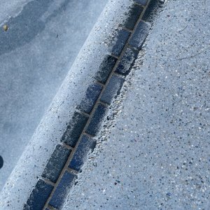 IMG_8375.jpeg