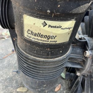IMG_3209.jpeg