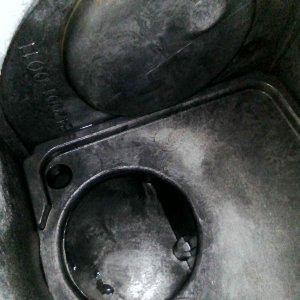 IMG_0079.jpeg
