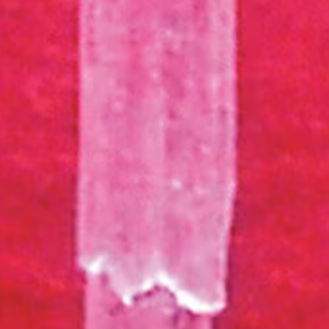 1708291297769.png