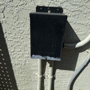 IMG_3337.jpeg
