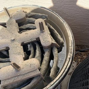 IMG_1900.jpeg