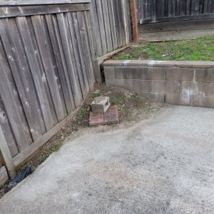 Close up of proposed heater location in corner where dirt and brick sit on top of concrete.jpg