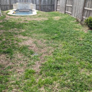 Wide look at pool location