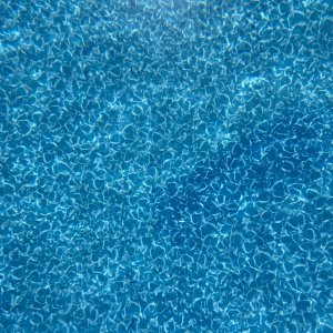 IMG_2573.jpeg