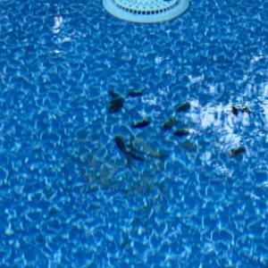 IMG_0230.jpeg