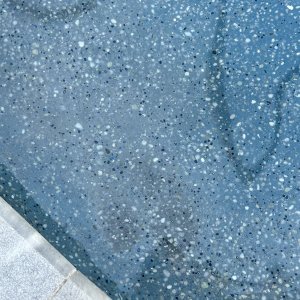 IMG_2967.jpeg