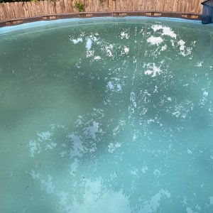 IMG_1943.jpg