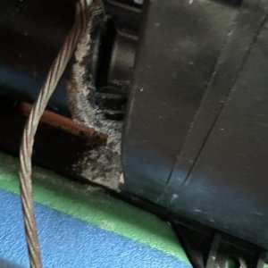 IMG_2606.jpeg