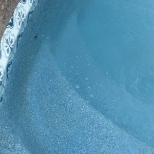 IMG_6237.jpeg