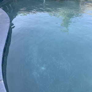 IMG_3007.jpeg