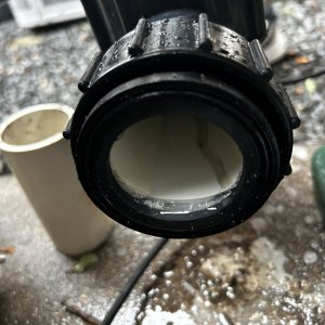 IMG_9328.jpeg