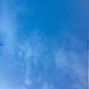 IMG_0215.jpeg