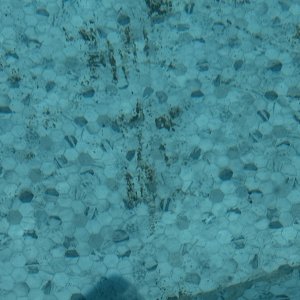 IMG_3410.jpeg