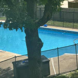 IMG_8071.jpeg