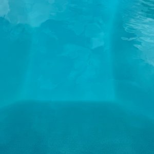IMG_8938.jpeg