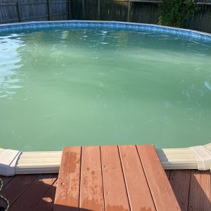 IMG_4566.jpeg