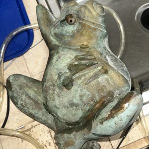 IMG_1809.jpeg