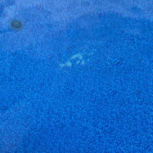 IMG_3791.jpeg