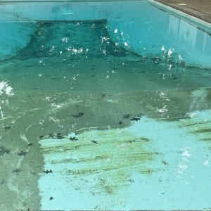 few_days_before_pool.jpg