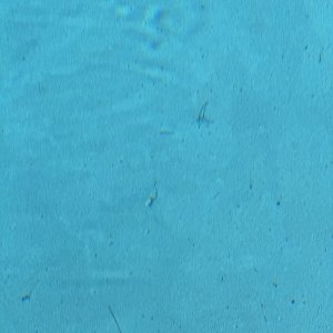 73980197060__E2387BD6-E634-410D-9BEE-D29DFC703B0E.jpeg